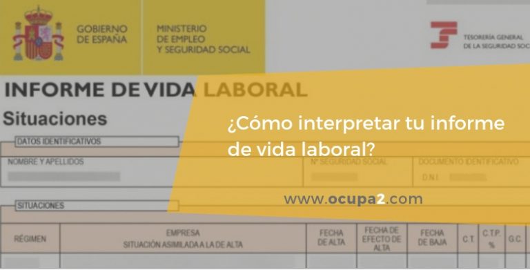 ¿Cómo interpretar tu informe de vida laboral?